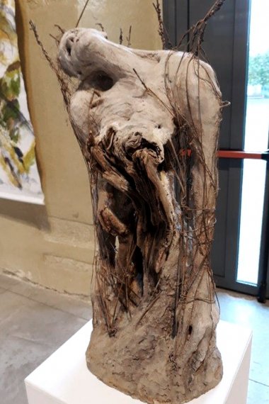Convergences_56